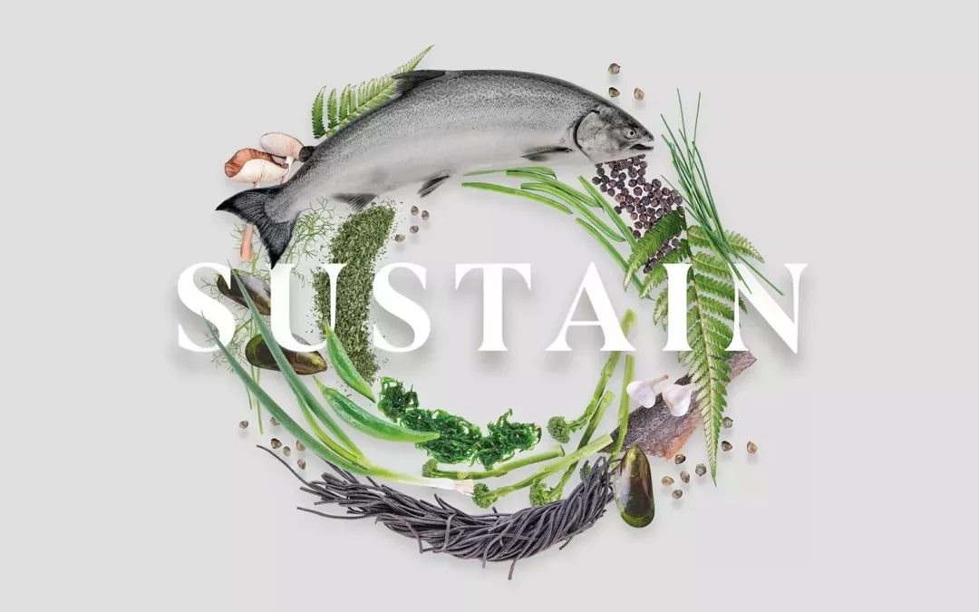 Ōra King Awards – The Journey to Sustainability