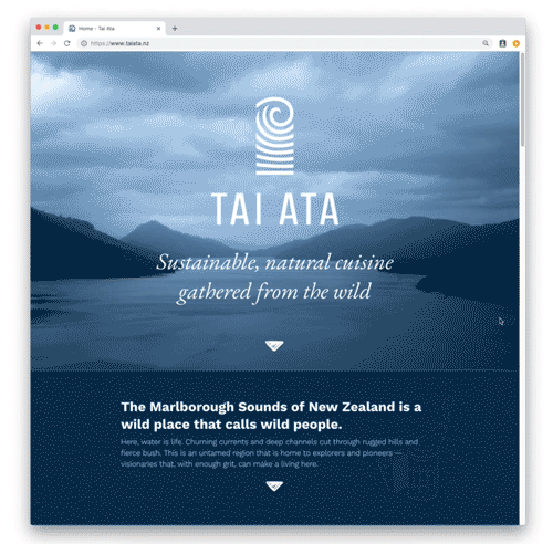 Website-2a web design services nelson