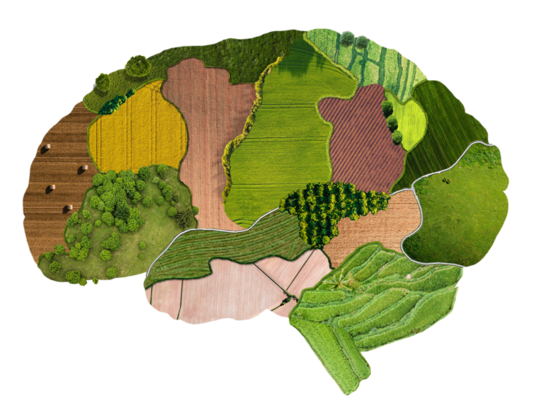 branding is owning an idea in the mind