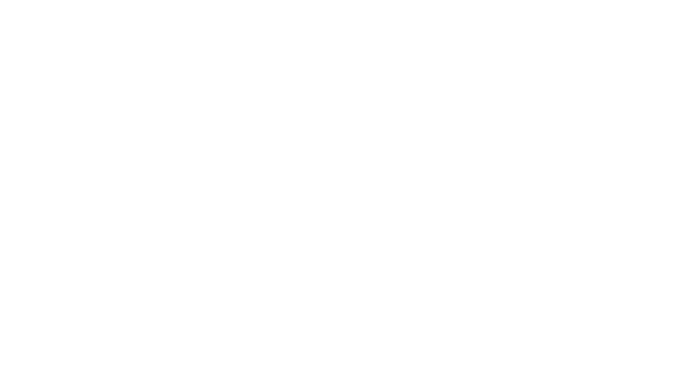 Nimbus Logo RGB-14